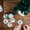 Leafy Plant Stickers - Pack A