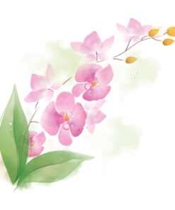 Orchids In Watercolour
