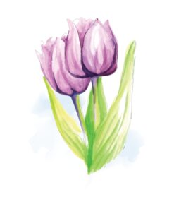 Purple Dahlia In Watercolour