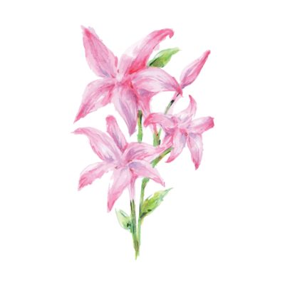 VARIABLE PRODUCT - Test 1