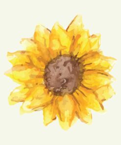 Sunflower In Watercolour