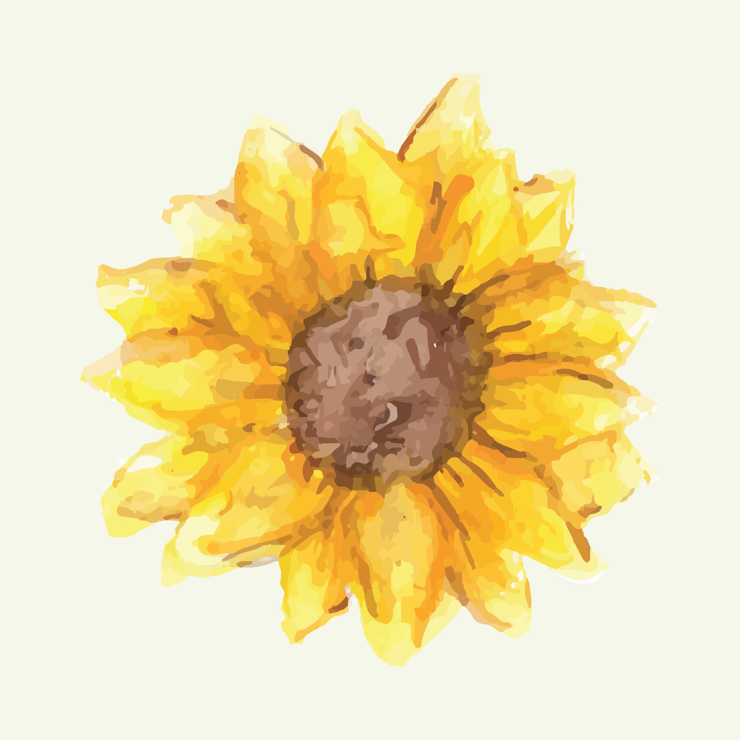 Sunflower In Watercolour