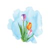 Three Tulips In Watercolour