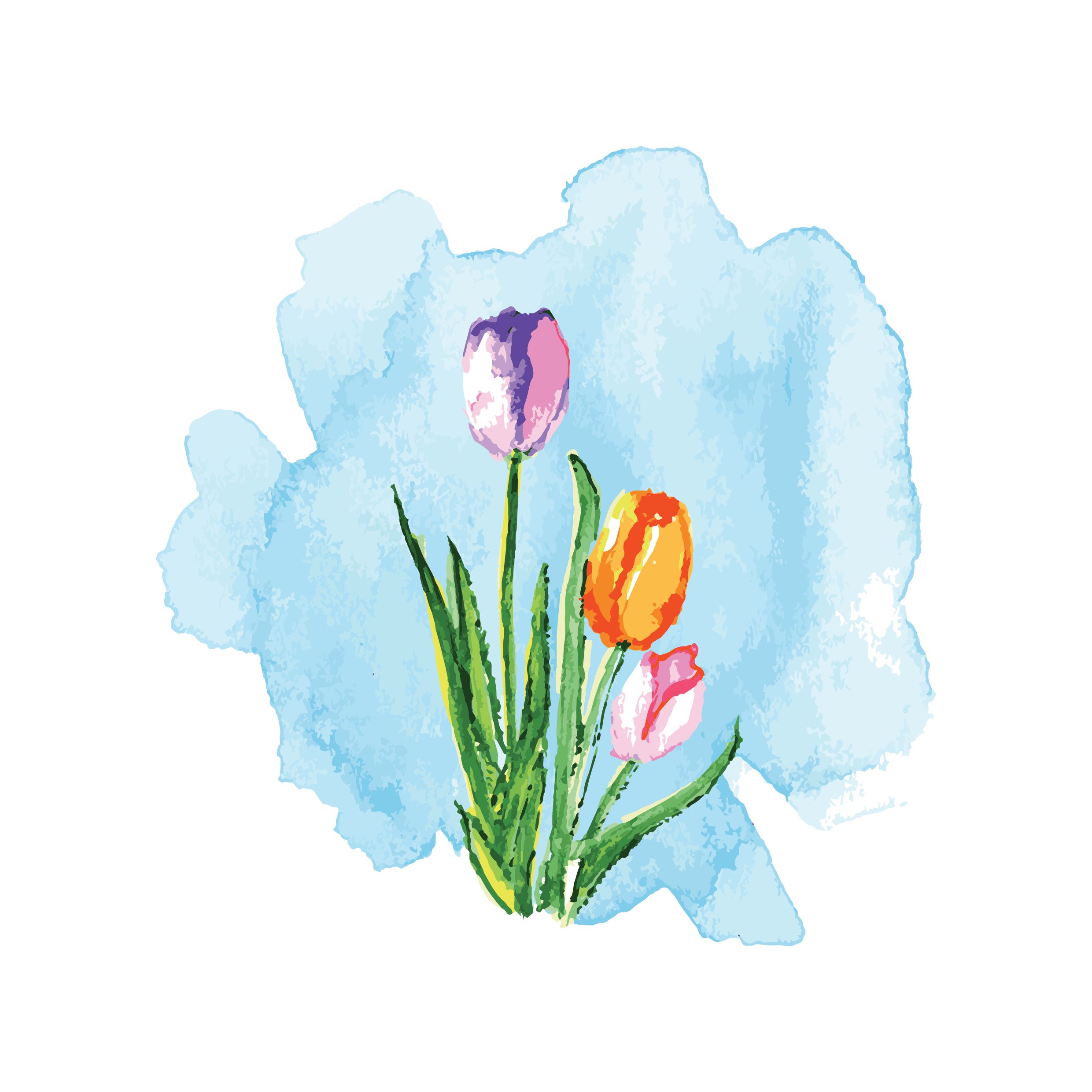 Three Tulips In Watercolour